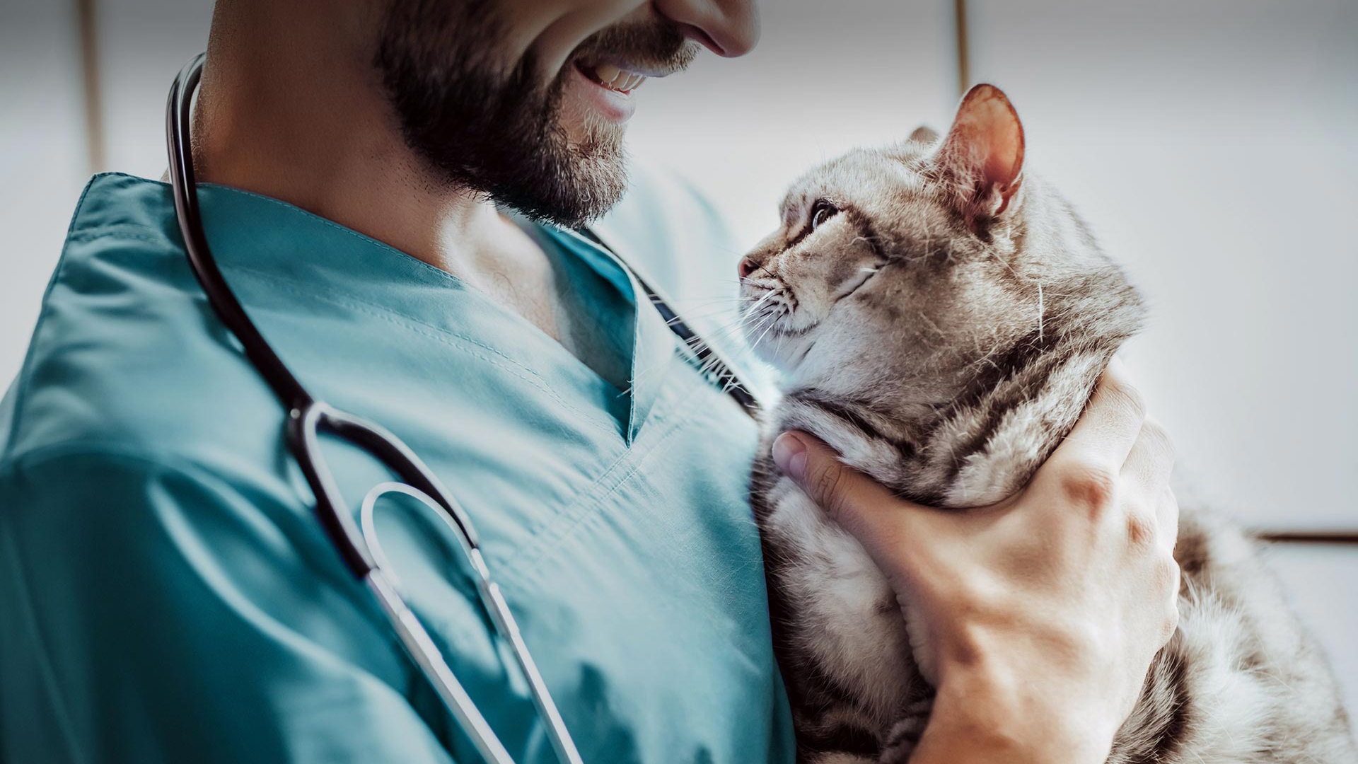 Altıntaş Veteriner